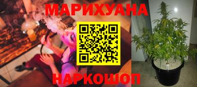 шишки Лесосибирск