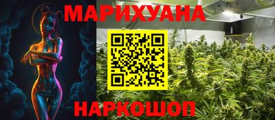 шишки Лесосибирск