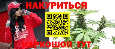 шишки Лесосибирск