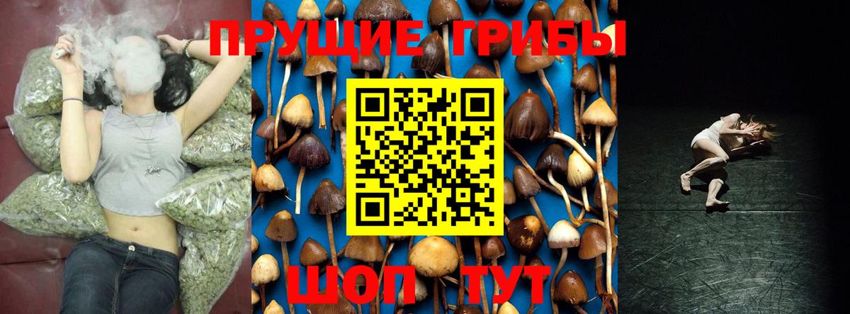 Псилоцибиновые грибы Cubensis  Вход с VPN  Добрянка 